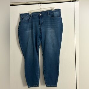 Judy Blue Skinny Fit Denim Jeans Plus Size